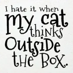 I Hate when my Cat Thinks outside the Box Wood Sign
