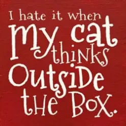 I Hate when my Cat Thinks outside the Box Wood Sign
