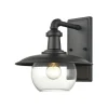 Jackson 1-Lght Sconce W/Glss