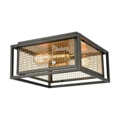 Jarvis 2-Lght Flush Mount W/Burnished Brass Shade