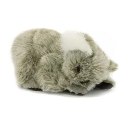 Kip, the Quirky and Playful Koala