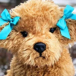 Labradoodle Plushie with NO Bows by Auswella