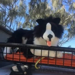 Large Size Border Collie Hand-Crafted Eco-Friendly Size 62cm/24.5".