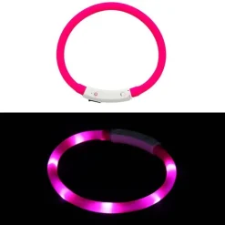 LED Lighted Collars to Keep Pets SAFE at Night! Rechargeable *