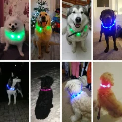LED Lighted Collars to Keep Pets SAFE at Night! Rechargeable *