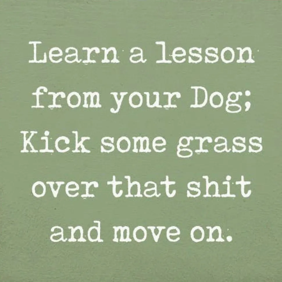 Lesson From Your Dog; Kick Some Grass Over That Shit Handmade Real Wood Funny Sign