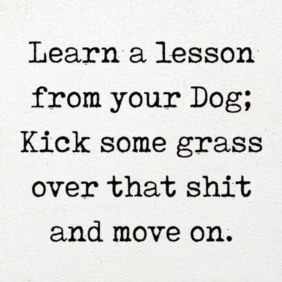 Lesson From Your Dog; Kick Some Grass Over That Shit Handmade Real Wood Funny Sign