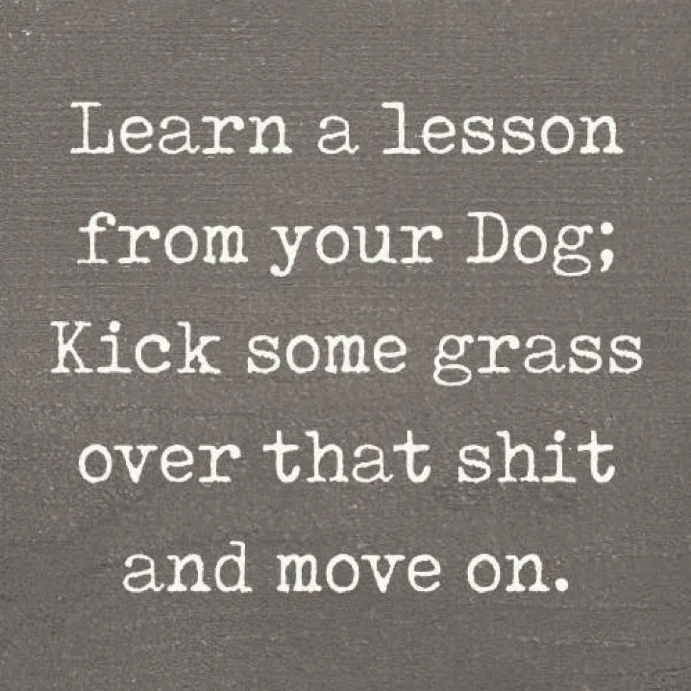 Lesson From Your Dog; Kick Some Grass Over That Shit Handmade Real Wood Funny Sign
