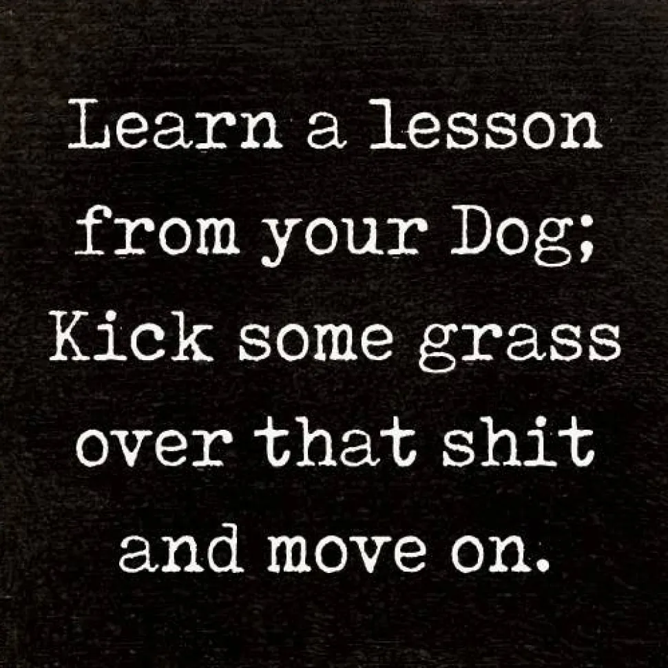 Lesson From Your Dog; Kick Some Grass Over That Shit Handmade Real Wood Funny Sign