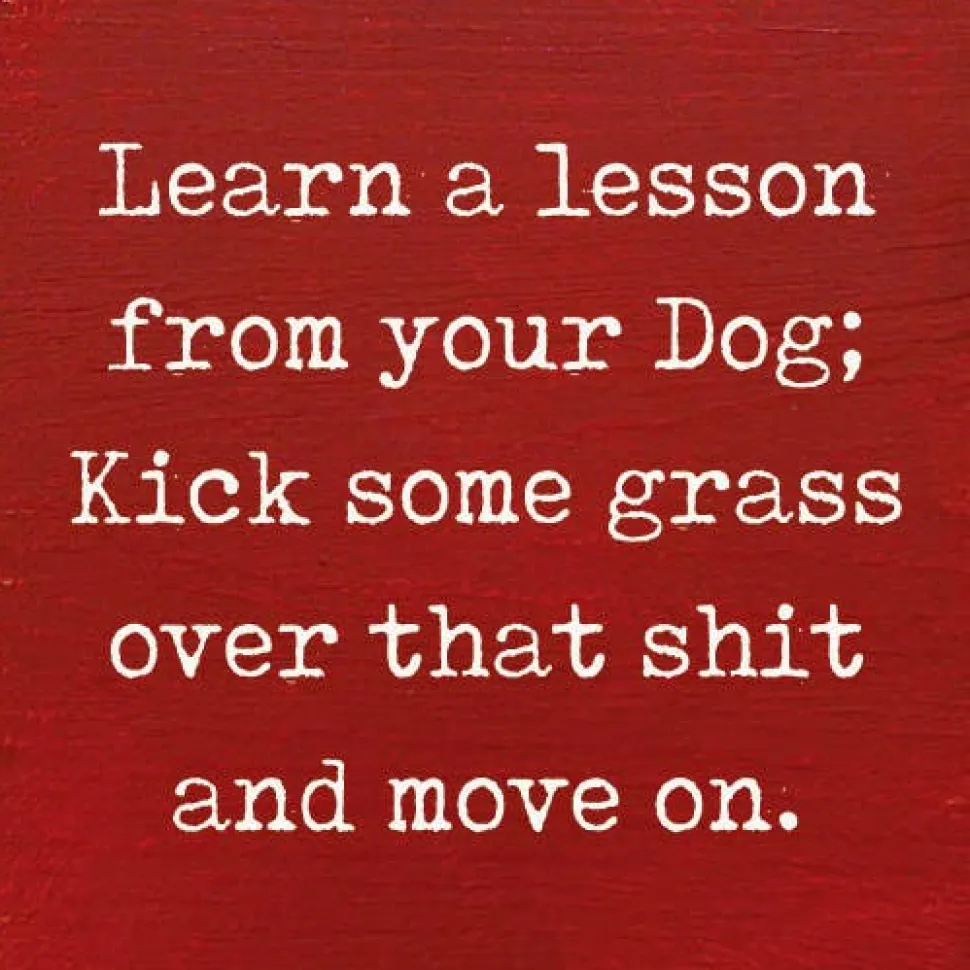 Lesson From Your Dog; Kick Some Grass Over That Shit Handmade Real Wood Funny Sign