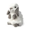 Lop Eared Gray and White Plush Bunny Rabbit Sitting Realistic So Cute! Living Nature