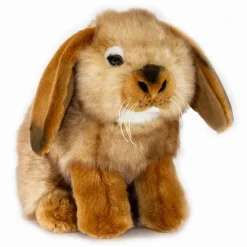 Lop-eared Rabbit Life Size Realistic