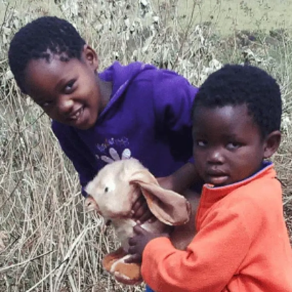 Lop-eared Rabbit Life Size Realistic