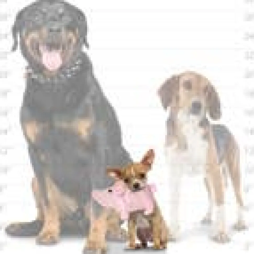 Mighty Safari Plush Pig Durable Dog Toys *