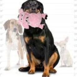 Mighty Safari Plush Pig Durable Dog Toys *