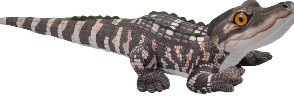 MIni Living Stream Baby Alligator By Wild Republic