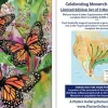 Monarch Butterfly 3D Magnet Set
