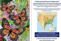 Monarch Butterfly 3D Magnet Set