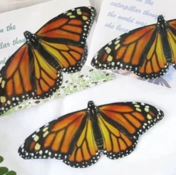 Monarch Butterfly 3D Magnet Set