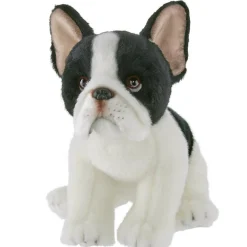 Oliver the French Bulldog