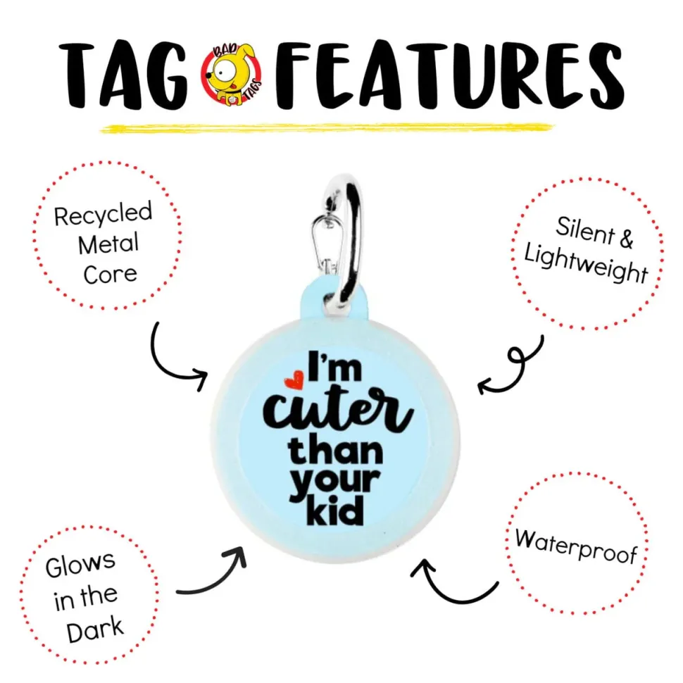 Pet Dog Tags Made in the USA, Recycled Metal, Glow in Dark, Waterproof *