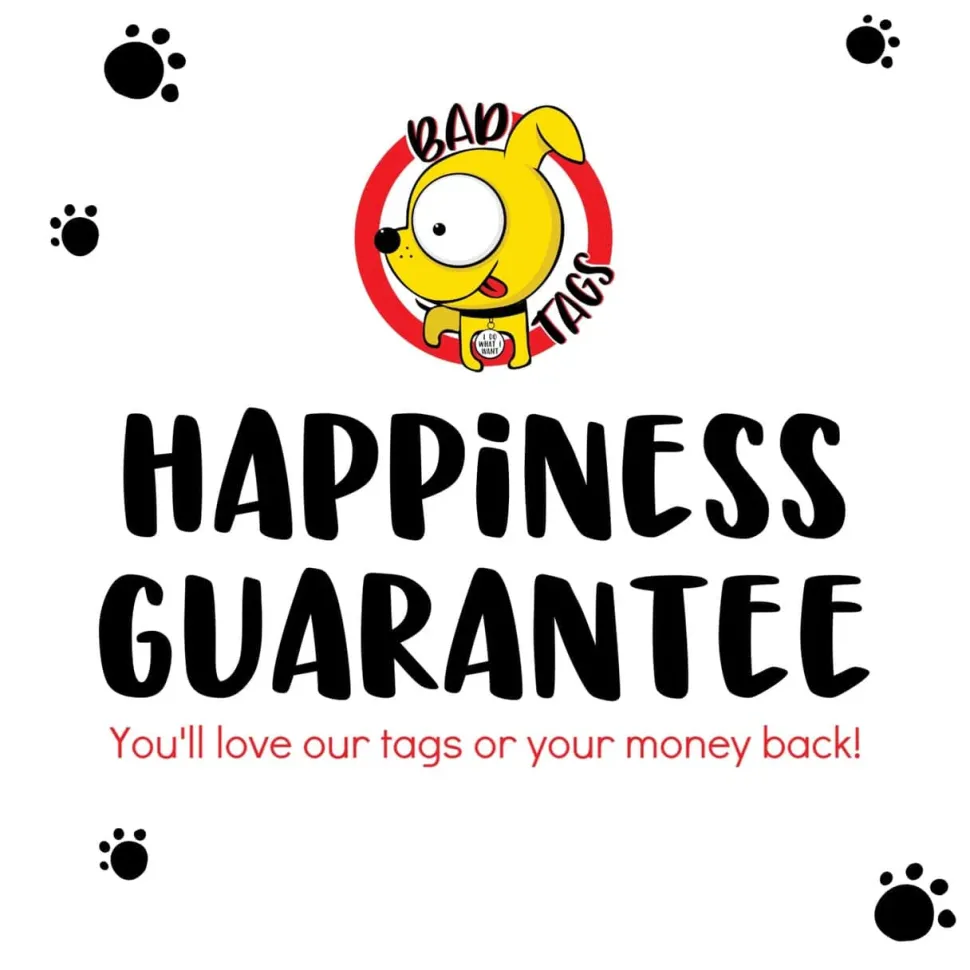 Pet Dog Tags Made in the USA, Recycled Metal, Glow in Dark, Waterproof *