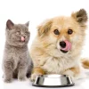 Pet Pantry: Animal Treats Buy a Bag of Food for Hungry Pets