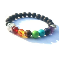 Pet Paw Lava Stone 8mm Beaded Bracelets with Rainbow Chakras Aromatherapy Diffuser Bracelets