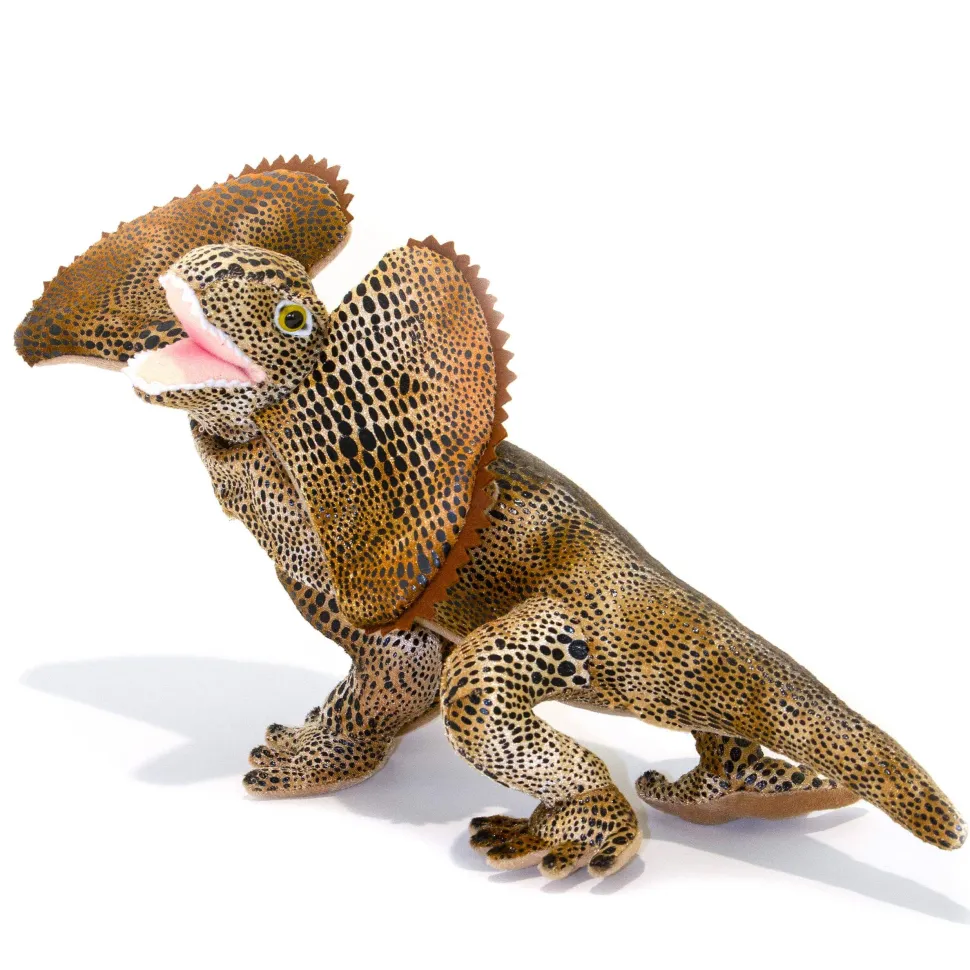 Philly (Frilly Neck Lizard - 34cm)