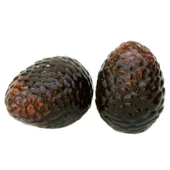 Pinecone Salt & Pepper Set