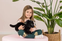 Plush Black Baby Panther Lying Down by Teddy Hermann
