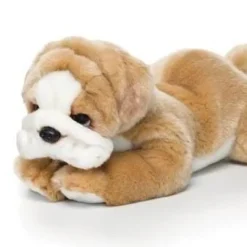 Plush Dogs: Bulldog, Bichon, French Bulldog Sitting Pose