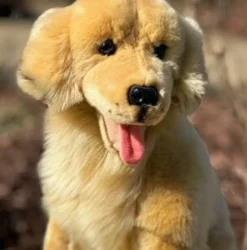 Plush Golden Retriever by Auswella