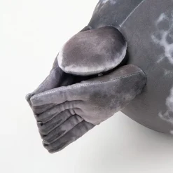 Plush Harp Seal SO CUTE! *