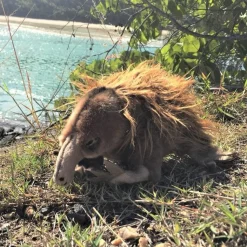 Plush Lifelike Echidna Size 24cm/9.5″
