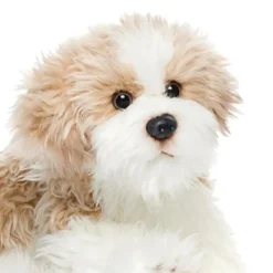 Plush Mixed Breeds: Maltipoo, Terrier Mix, & Labradoodles