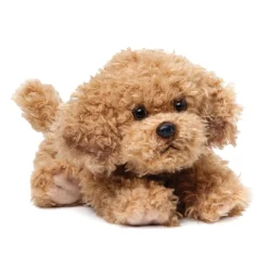Plush Mixed Breeds: Maltipoo, Terrier Mix, & Labradoodles