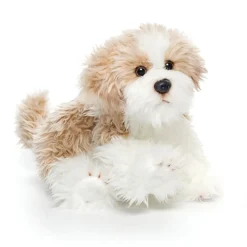Plush Mixed Breeds: Maltipoo, Terrier Mix, & Labradoodles