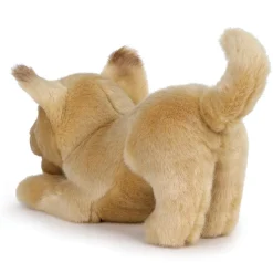 Plush Mixed Breeds: Maltipoo, Terrier Mix, & Labradoodles