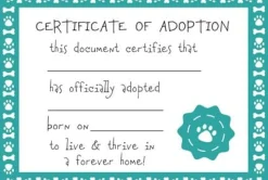 Plush Mixed Breeds: Maltipoo, Terrier Mix, & Labradoodles