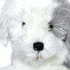 Plush Old English Sheepdog Large Size Realistic Beautiful Quality!