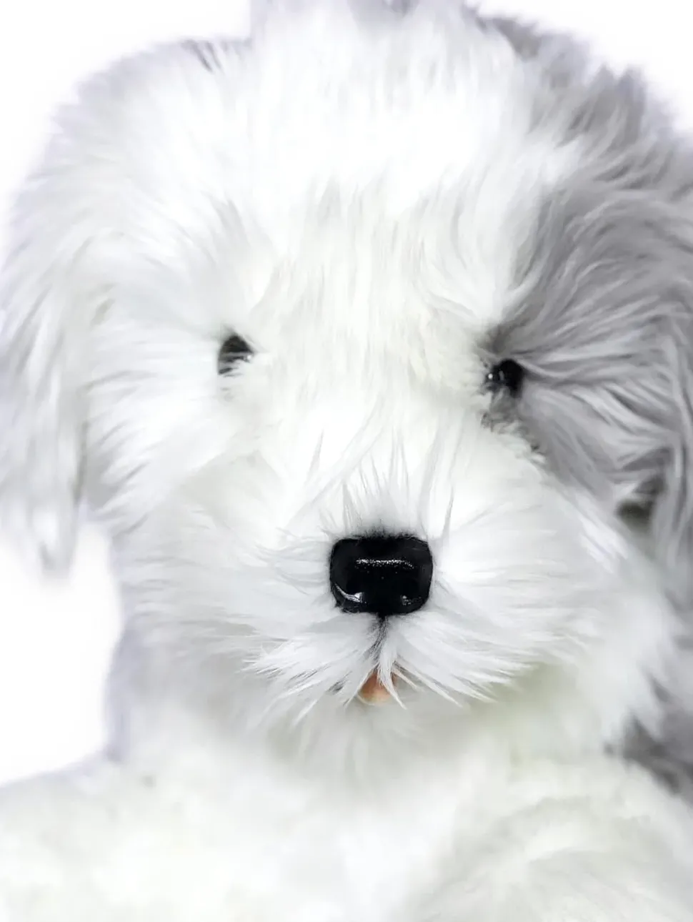 Plush Old English Sheepdog Large Size Realistic Beautiful Quality!