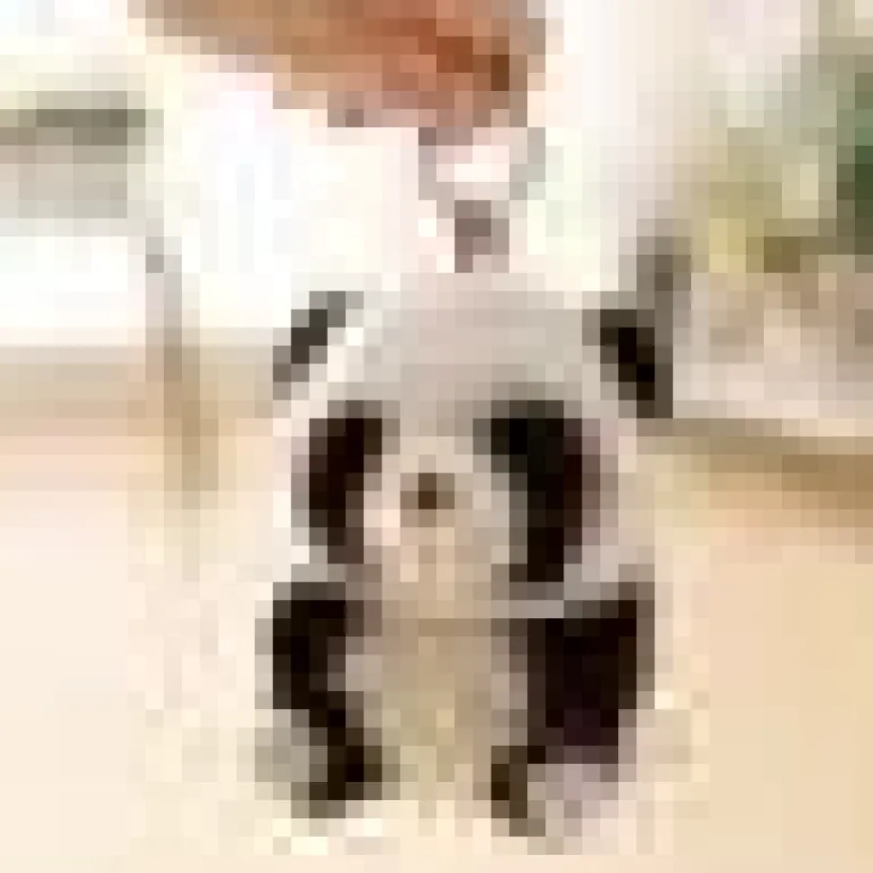 Plush Pig, Cow, Panda & Hamster Keychains Large 5.5" Stuffed Fat Animals