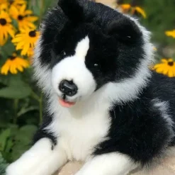 Plush Realistic Border Collie by Auswella