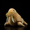 Plush Realistic Walrus with Mustache and Tusks!