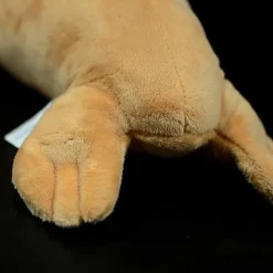 Plush Realistic Walrus with Mustache and Tusks!