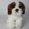 Plush Shih Tzu Puppy Brown and White