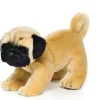 Plush Toy Dogs: Yorkie, Chihuahua, Pug Demdaco