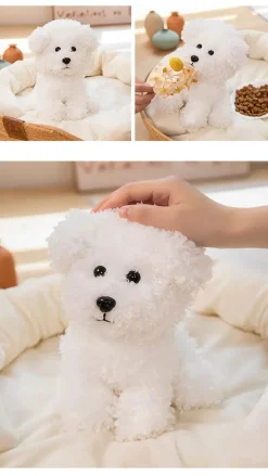 Poodle Mix Puppies Brown or White Curly Que Hair