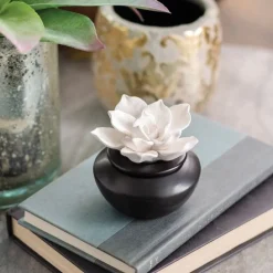 Porcelain Gardenia Airome Diffuser with Peppermint Oil Aromatherapy